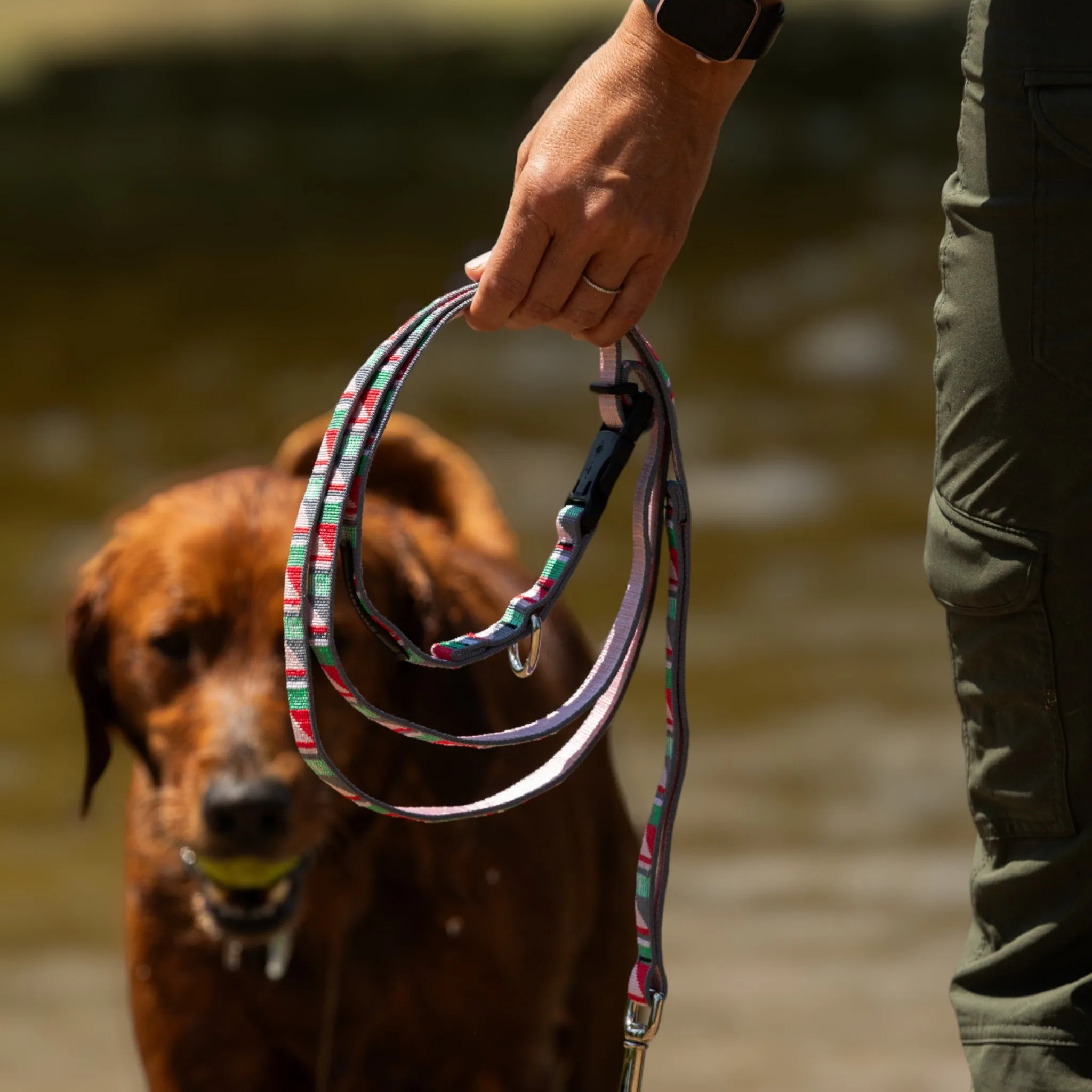 Adjustable Hands-Free Leash