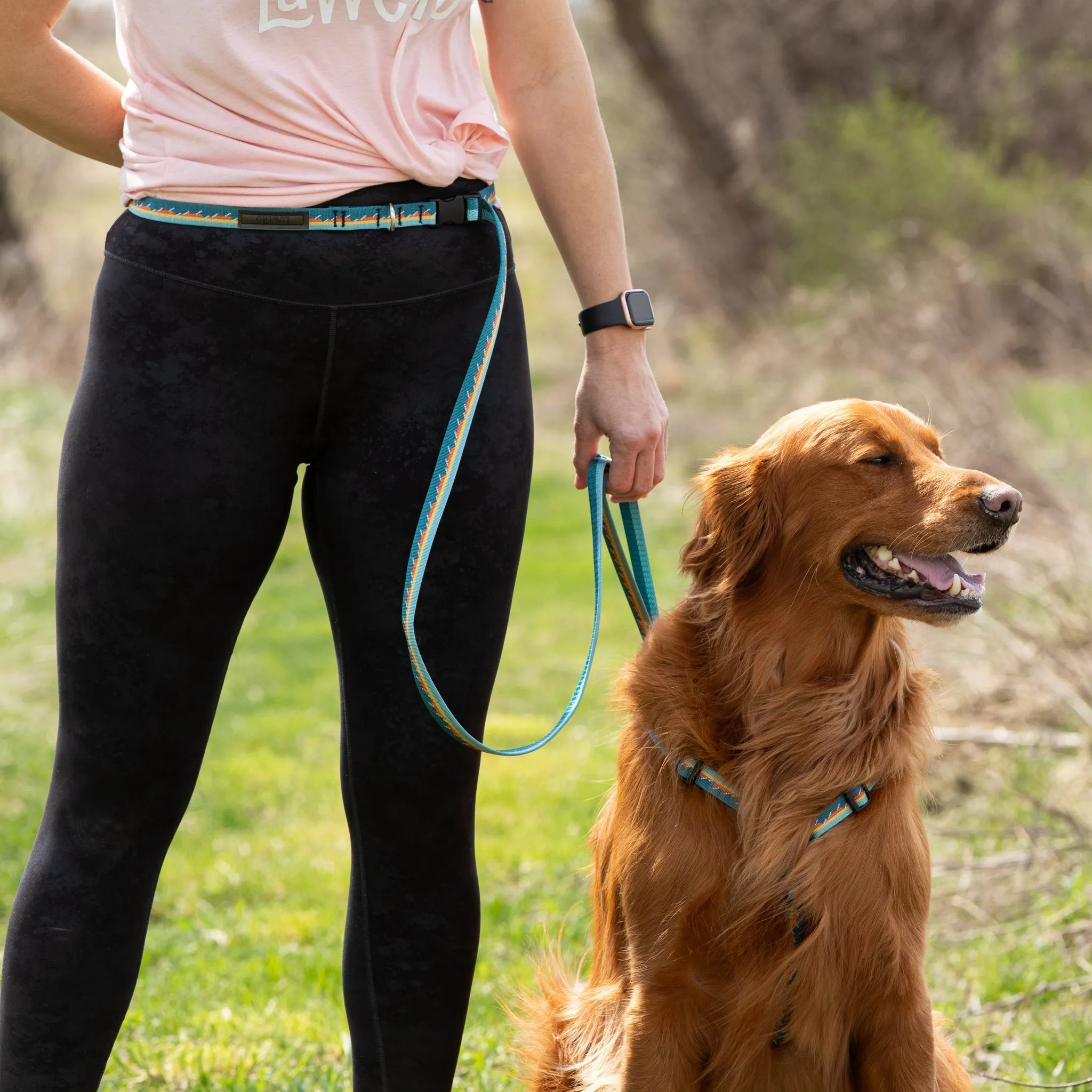 Adjustable Hands-Free Leash