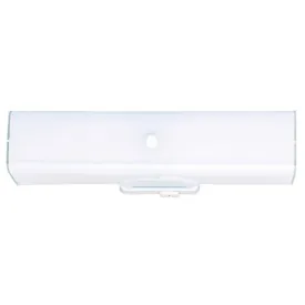 Westinghouse 66403 2-Light Interior Wall Fixture w/Ground Convenience Outlet